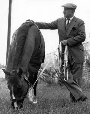 一滴精贵过一粒大钻石！“北方舞蹈家”一次配种费曾高达675万……