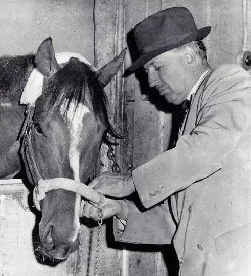 一滴精贵过一粒大钻石！“北方舞蹈家”一次配种费曾高达675万……