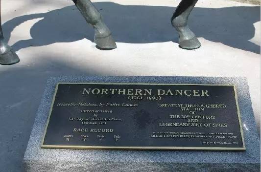 一滴精贵过一粒大钻石！“北方舞蹈家”一次配种费曾高达675万……