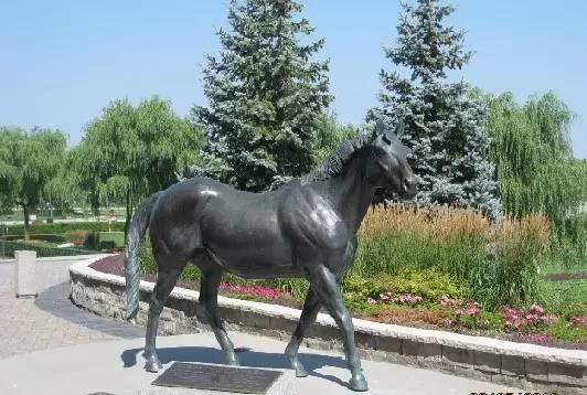 一滴精贵过一粒大钻石！“北方舞蹈家”一次配种费曾高达675万……