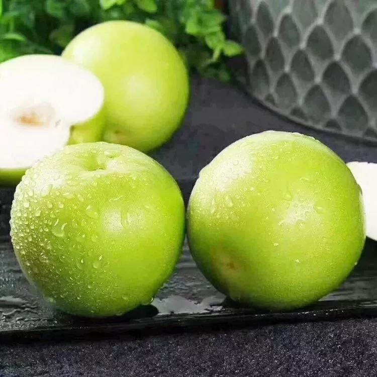 果蔬维c减脂丸,水果界的维c