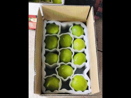 果蔬维c减脂丸,水果界的维c