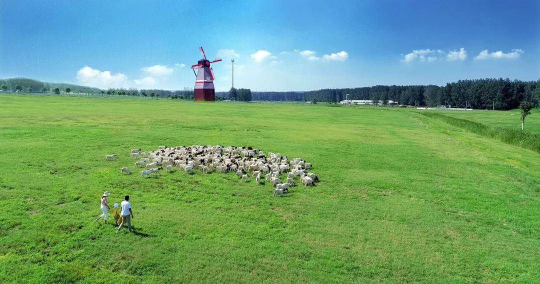 江苏永鸿控股集团有限公司,永鸿集团创业