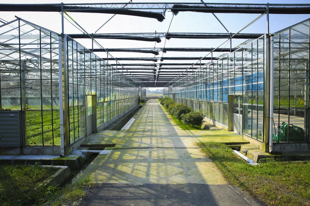 江苏永鸿控股集团有限公司,永鸿集团创业