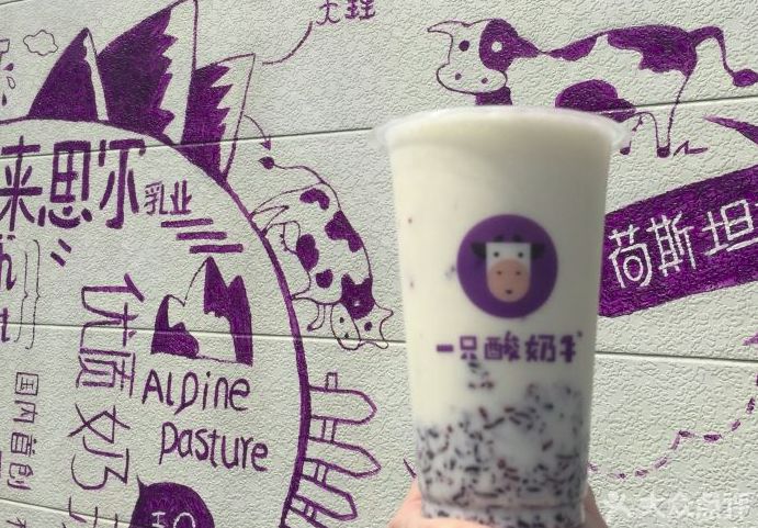 冷得不敢喝坝坝茶,只想捧一杯热奶茶在手心里!