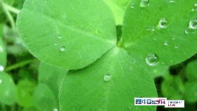 记者体验华林电疗,记者暗查养生会所