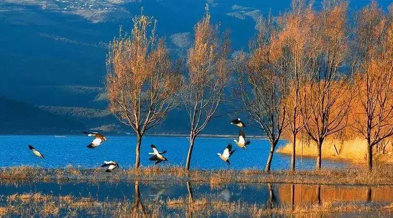 错过了你就错过了所有,这个冬天一点不要错过丽江