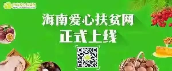 租房被黑中介坑了该怎么办,租房黑中介玩套路坑人
