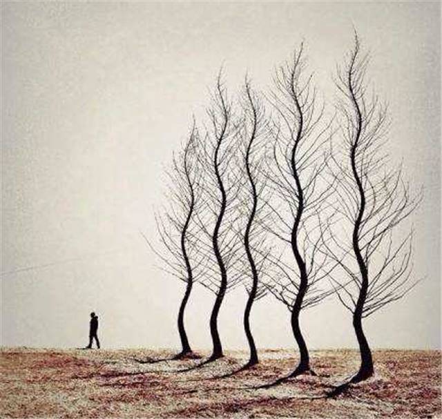 人性的25种缺点,人性的26个弱点图片