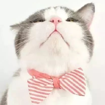 汉口里有什么活动吗,汉口白天儿童旅游攻略