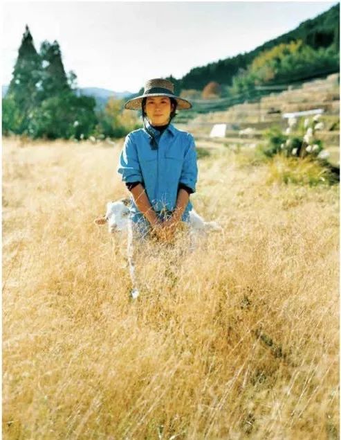 日本第四消费时代,第四消费时代解读日本