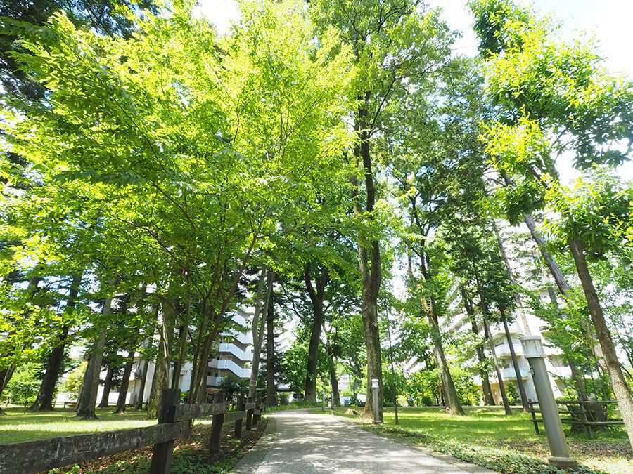 日本第四消费时代,第四消费时代解读日本