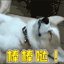 2020春运开启攻略来袭,最全四川春运出行攻略