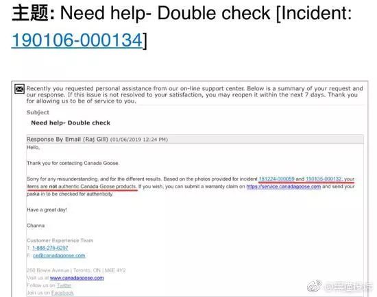 加拿大鹅网易考拉新闻,考拉加拿大鹅测试结果