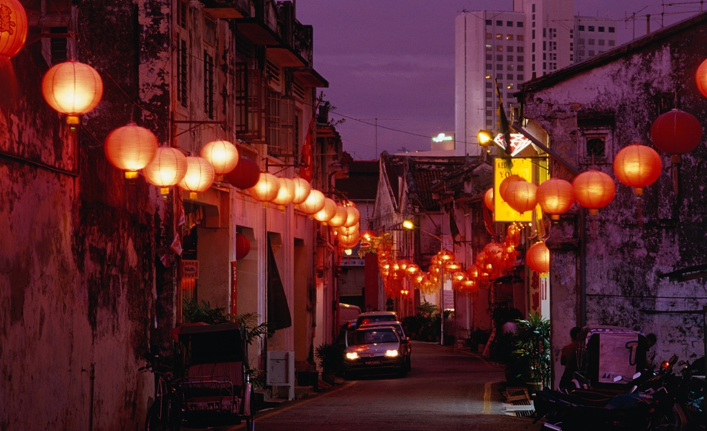 年前最后一笔大钱就花在它们身上了