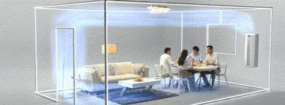 年前最后一笔大钱就花在它们身上了