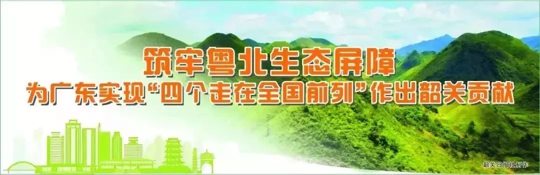广东韶关公务员2024招考职位,2020广东省公务员韶关职位一览表