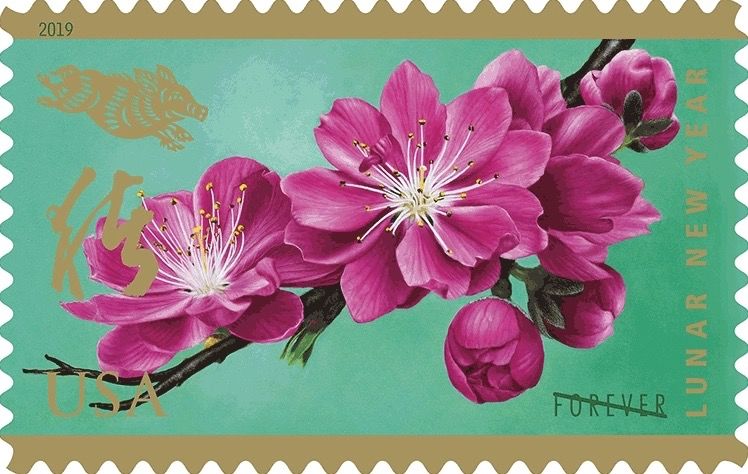 2019猪年生肖邮票整版多少钱,2019年联合国猪年生肖邮票