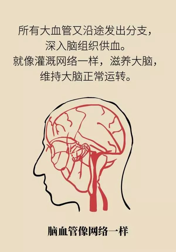 微针取血栓骗局视频,微针取血栓是国家认可吗