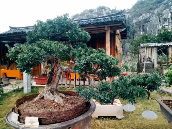 探访桂林东西巷历史文化街区,城事记忆展