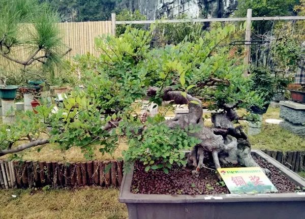 探访桂林东西巷历史文化街区,城事记忆展