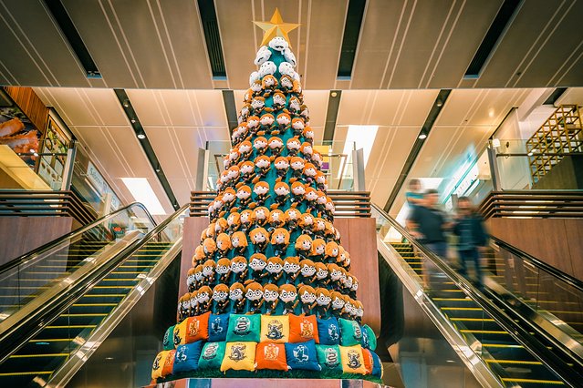 樟宜机场出境攻略,樟宜机场游玩攻略