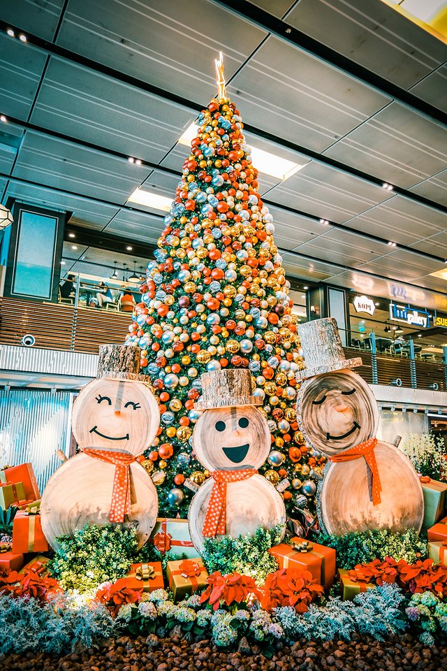 樟宜机场出境攻略,樟宜机场游玩攻略