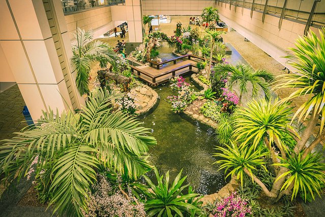 樟宜机场出境攻略,樟宜机场游玩攻略