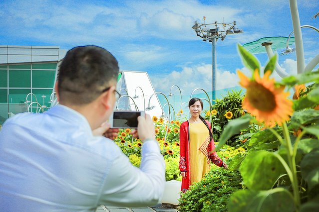 樟宜机场出境攻略,樟宜机场游玩攻略