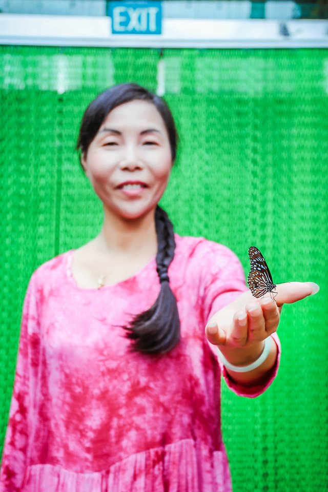 樟宜机场出境攻略,樟宜机场游玩攻略