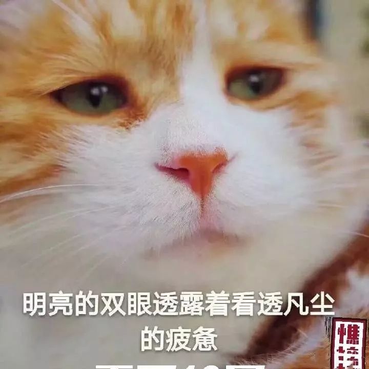 挂科有什么影响么,挂科有什么后果专科
