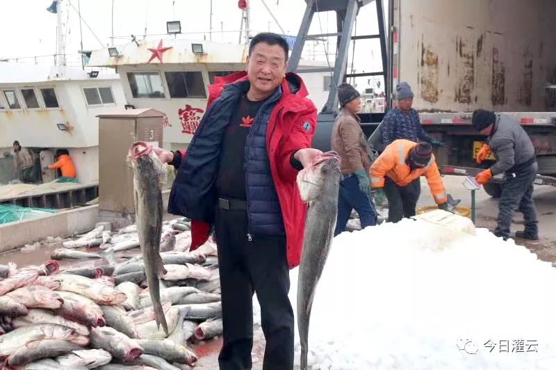 左军视频完整版,江苏省连云港市左军