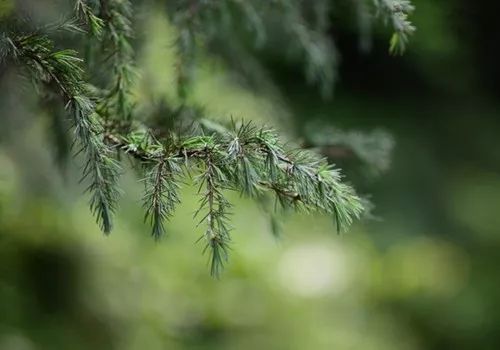 麻范儿好物|祖玛珑、圣罗兰……一口气买齐6支“大牌”香水,只花了我四十几块!