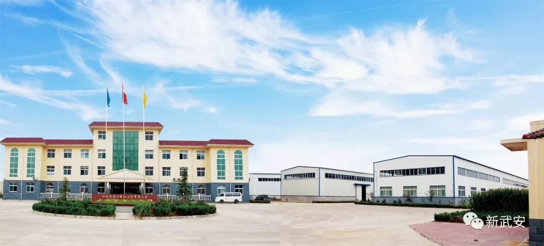 武安谷子,武安种什么农作物好