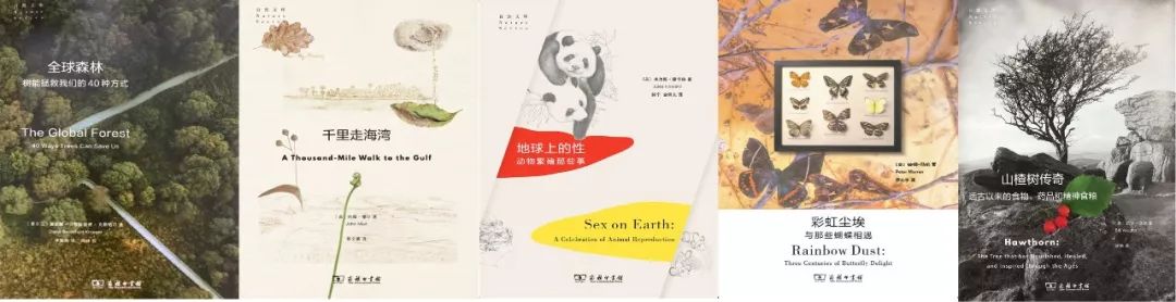 年货精选分享,年货精选30本哲学好书