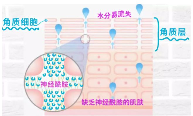 用完它素颜去见前男友，也能让对方后悔！