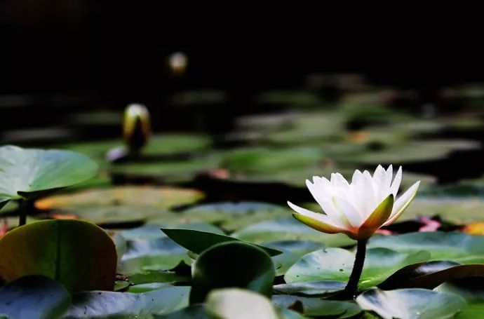 用完它素颜去见前男友，也能让对方后悔！