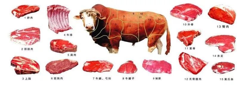 内蒙古的牛肉是最好的吗,内蒙古牛肉特别膻