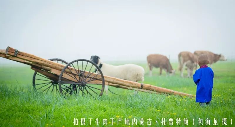 内蒙古的牛肉是最好的吗,内蒙古牛肉特别膻