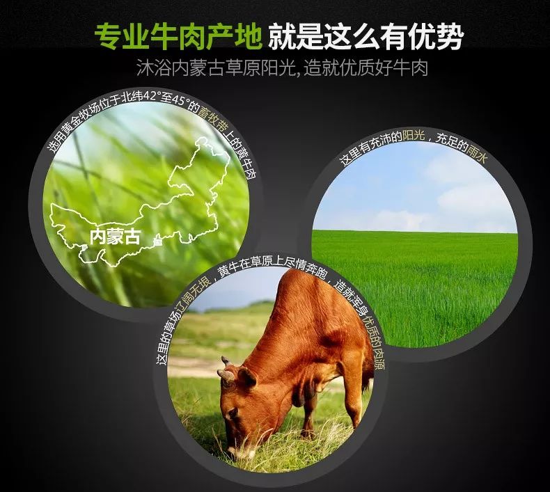 内蒙古的牛肉是最好的吗,内蒙古牛肉特别膻