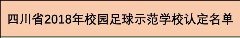 南充市国家级先进学校,南充足球最好的学校