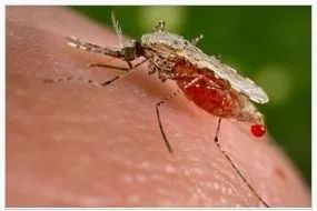 为什么体温计到42c了,为什么体温计刻度42