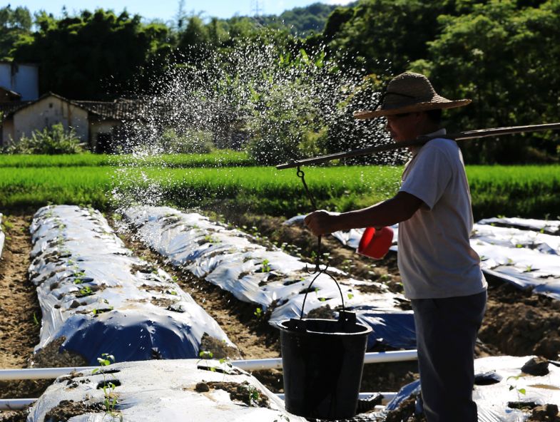 自己开垦的荒地能退耕还林,原来种地可以这样炫酷