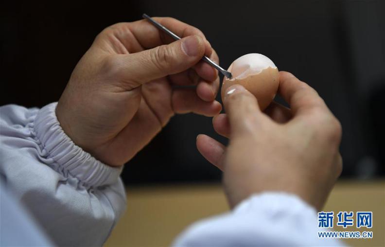 来者不拒!外科医生竟拿它们来练手