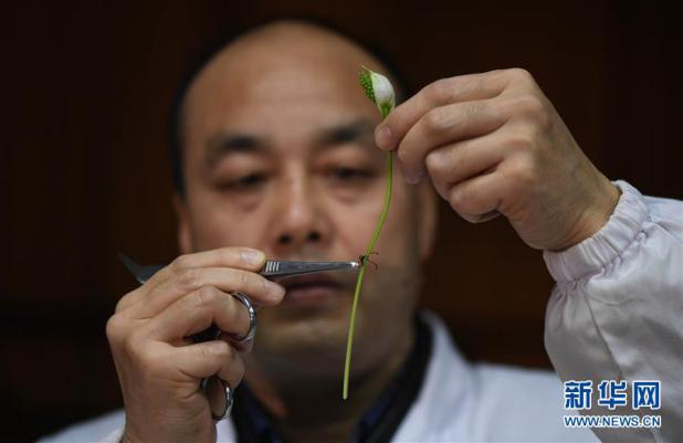 来者不拒!外科医生竟拿它们来练手