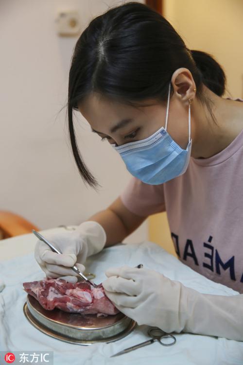 来者不拒!外科医生竟拿它们来练手