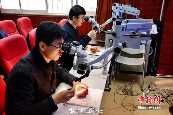 来者不拒!外科医生竟拿它们来练手