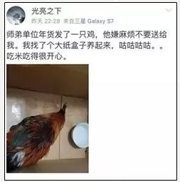 工厂过年放假发年货回来,带着公司发的年货回家过年