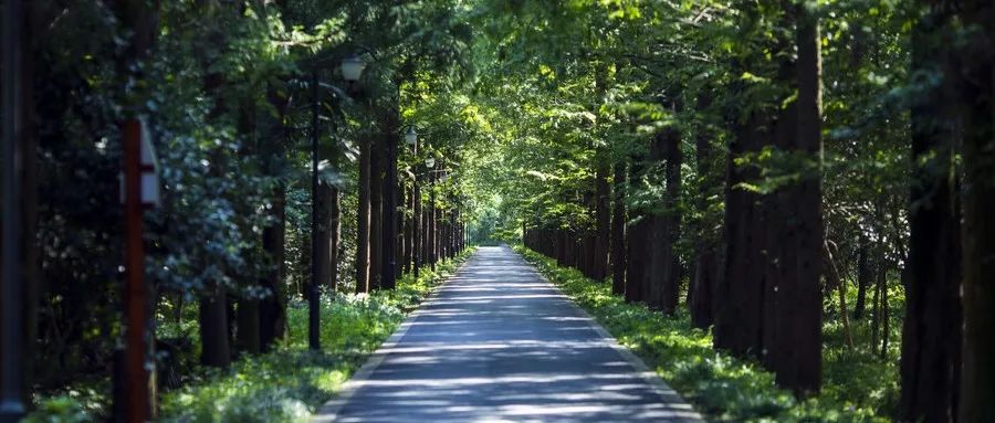 洛阳市重大发展,洛阳市发展最新消息
