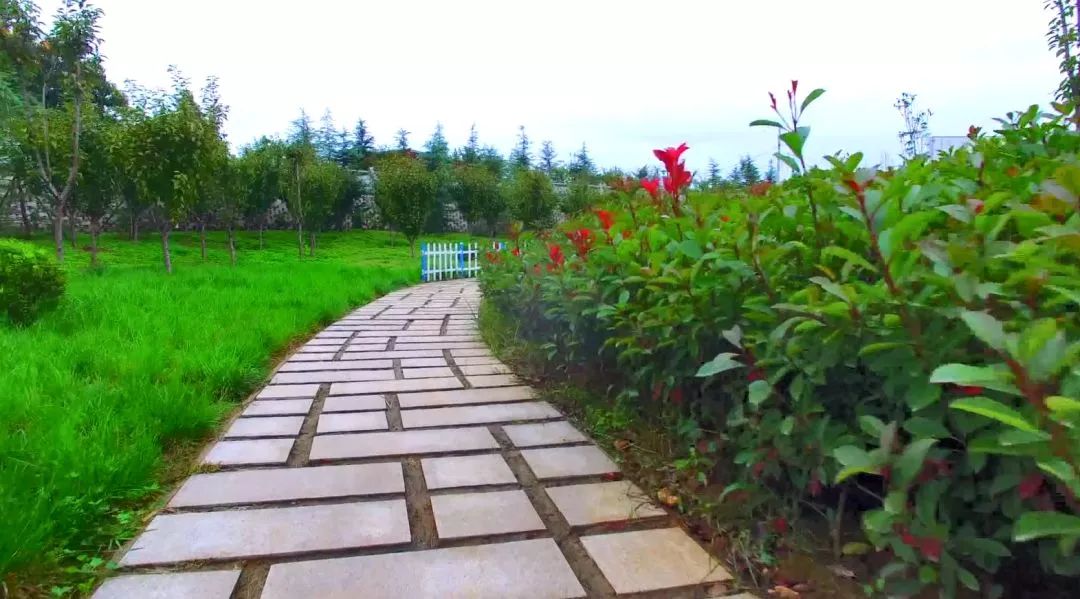 洛阳市重大发展,洛阳市发展最新消息